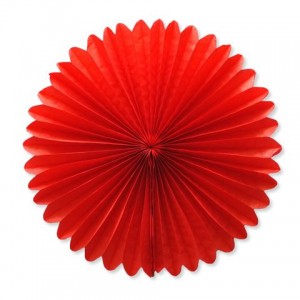 Mix And Match Colorful Wedding Photography Backdrop Hanging Tissue Honeycomb Paper Fan